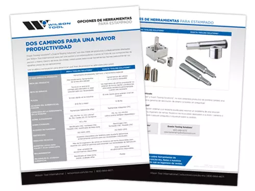 Stamping Flyer in Spanish Thumbnail
